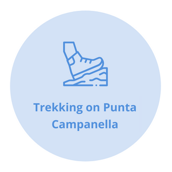 Trekking in Punta Campanella